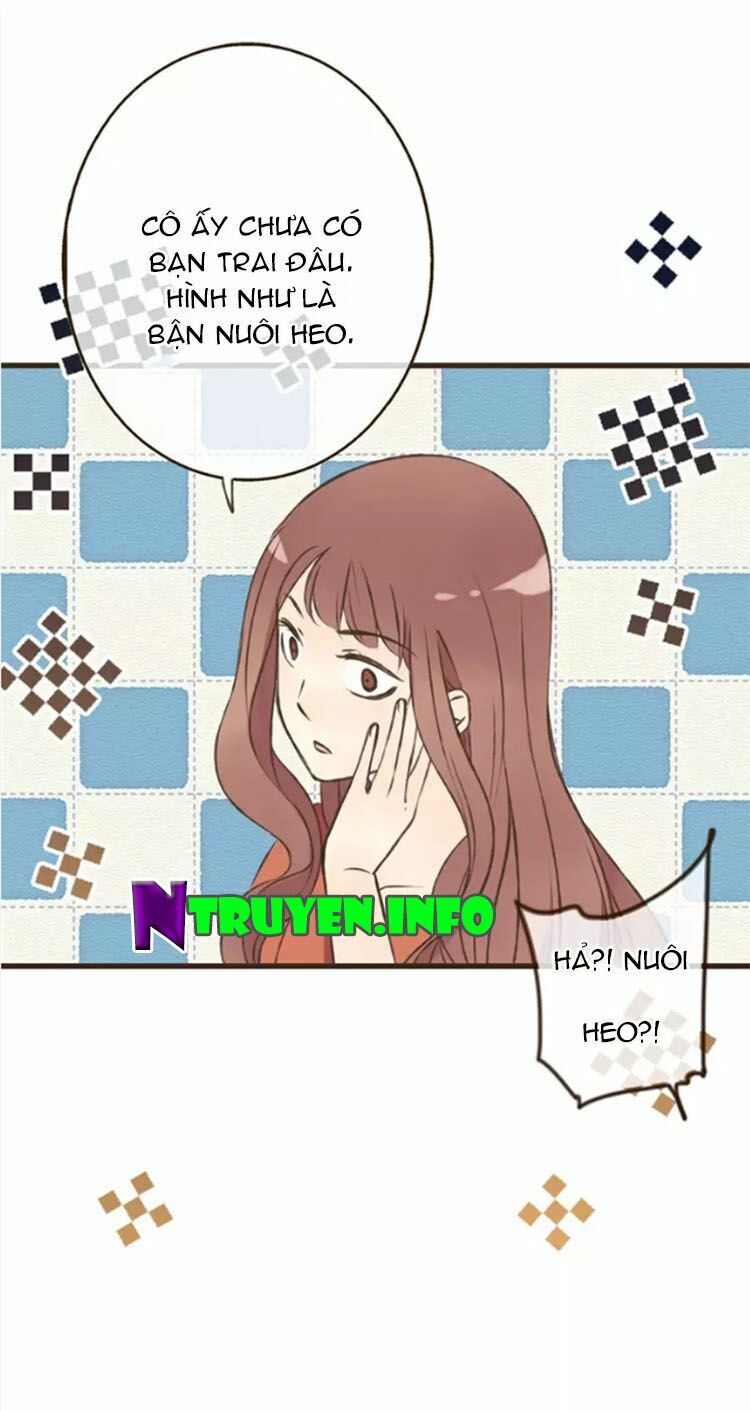 Trên Trời Rớt Xuống Một Hòa Thượng Ngốc: Chapter 59: End
