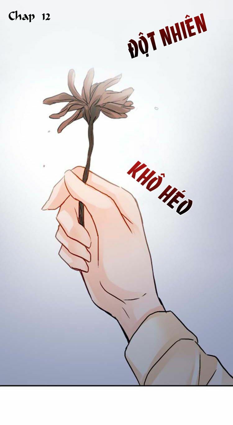 Cô Dâu Của Quỷ: Chapter 12
