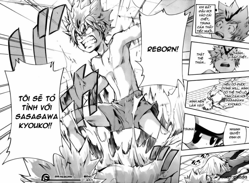 Reborn: Người đào tạo sát thủ: Chapter 407