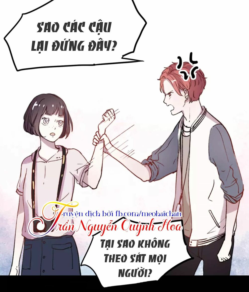 Cậu Đã Từng Yêu Tôi: Chapter 5