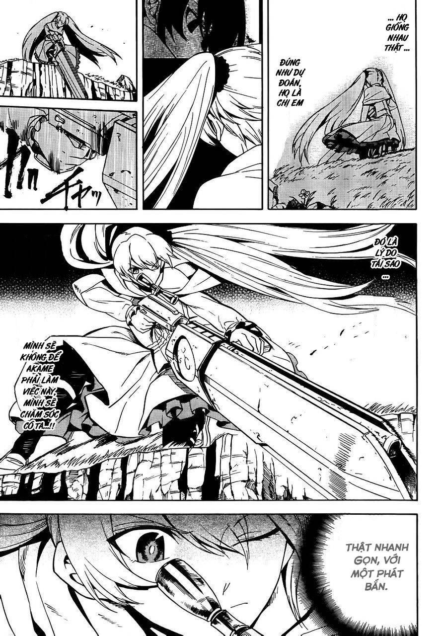 Akame ga Kiru!: Chapter 29