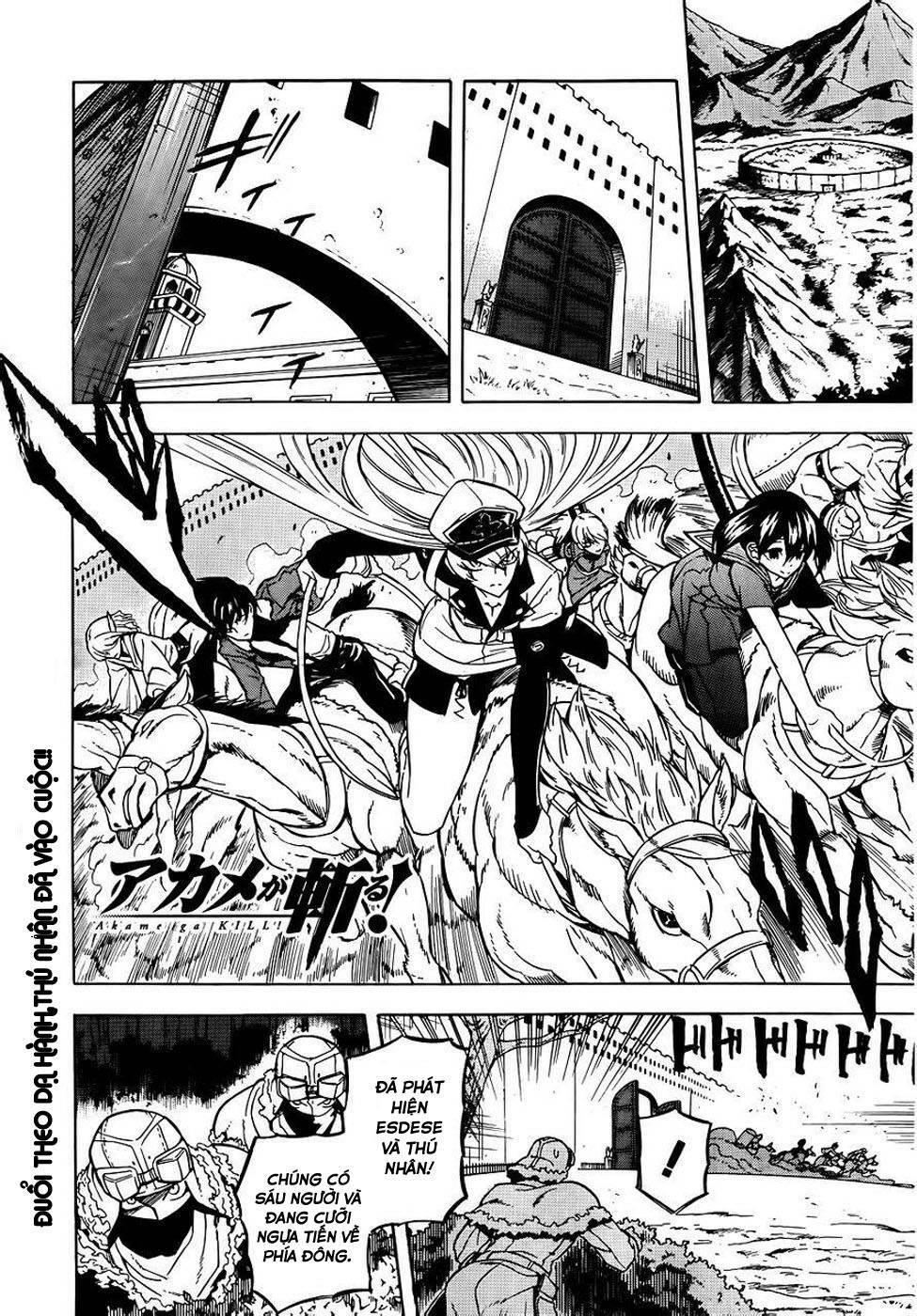 Akame ga Kiru!: Chapter 29