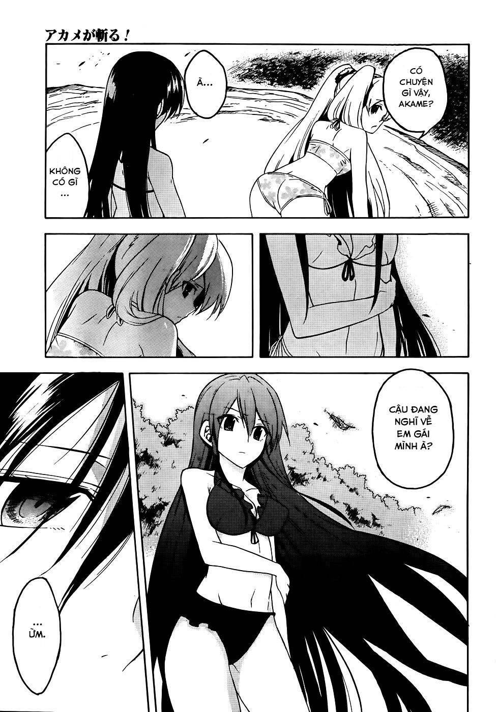 Akame ga Kiru!: Chapter 29