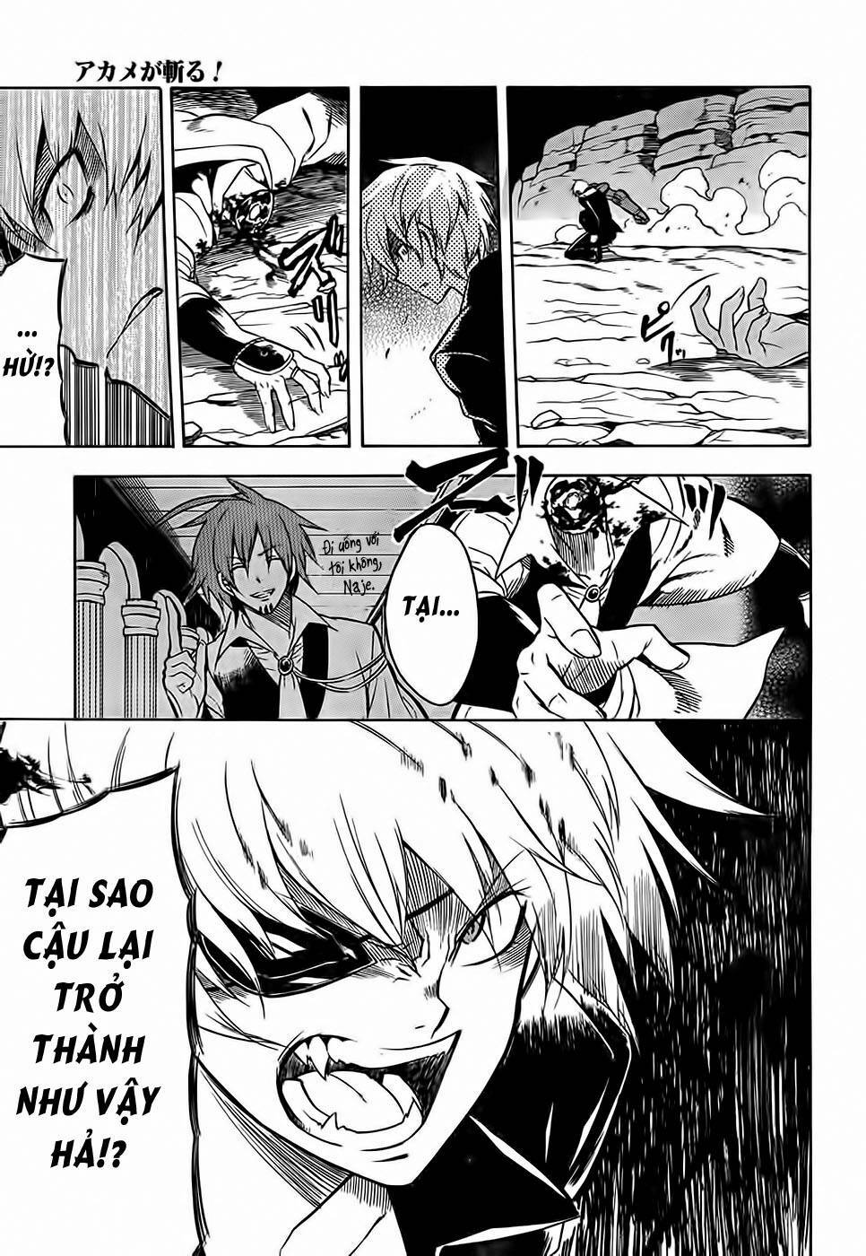 Akame ga Kiru!: Chapter 31