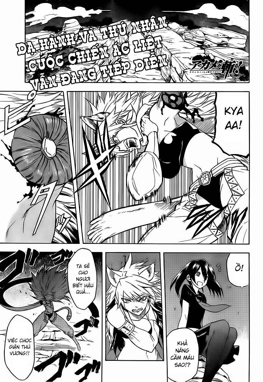 Akame ga Kiru!: Chapter 31