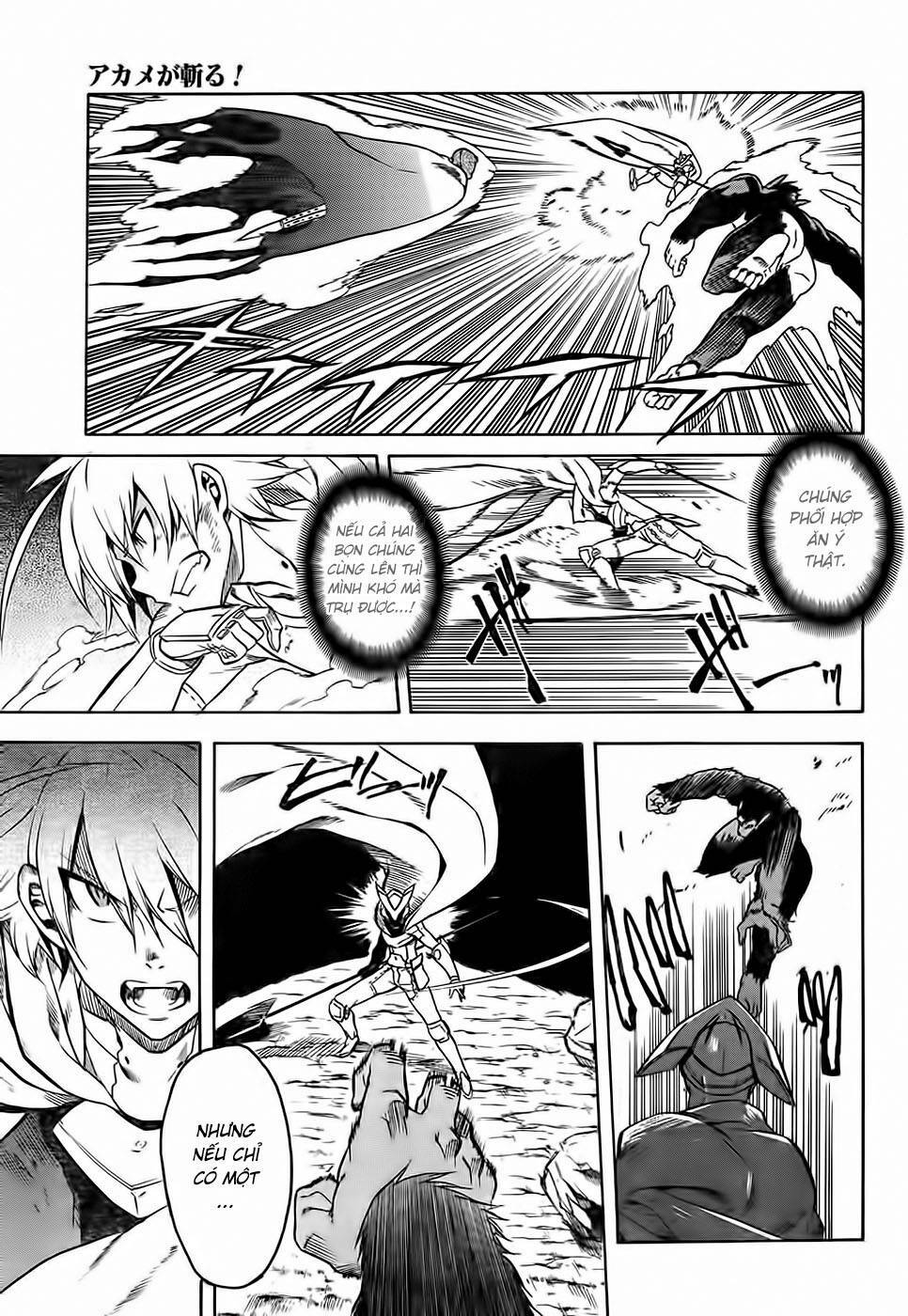 Akame ga Kiru!: Chapter 31