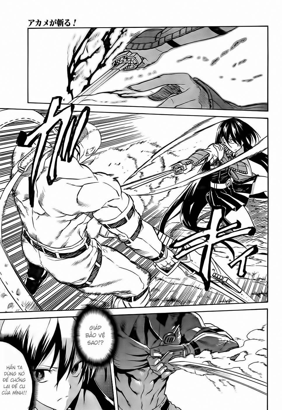 Akame ga Kiru!: Chapter 31