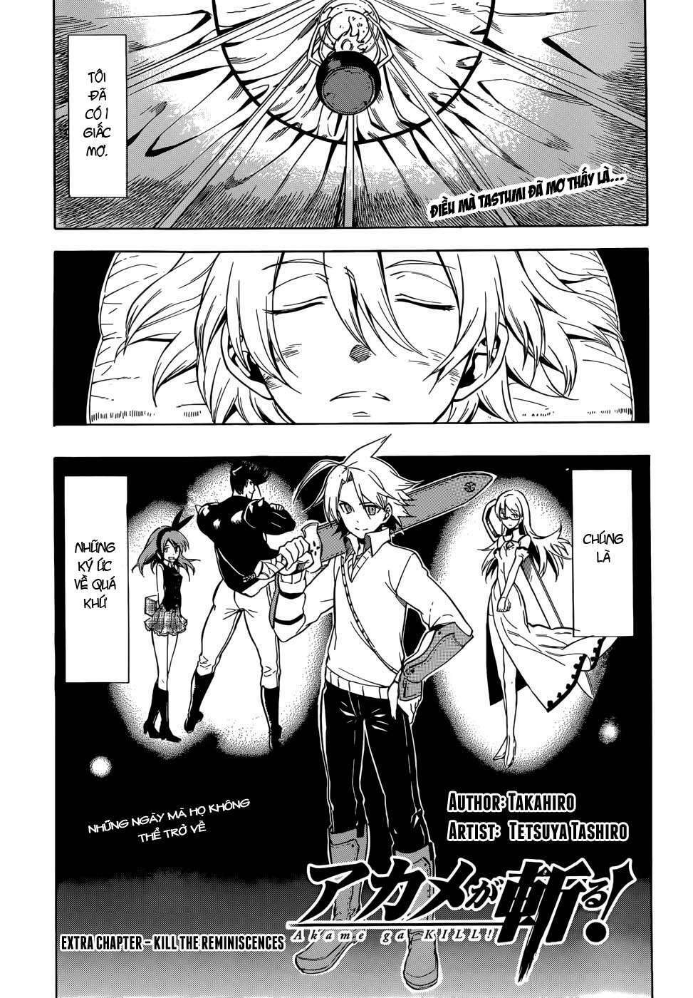 Akame ga Kiru!: Chapter 33.5