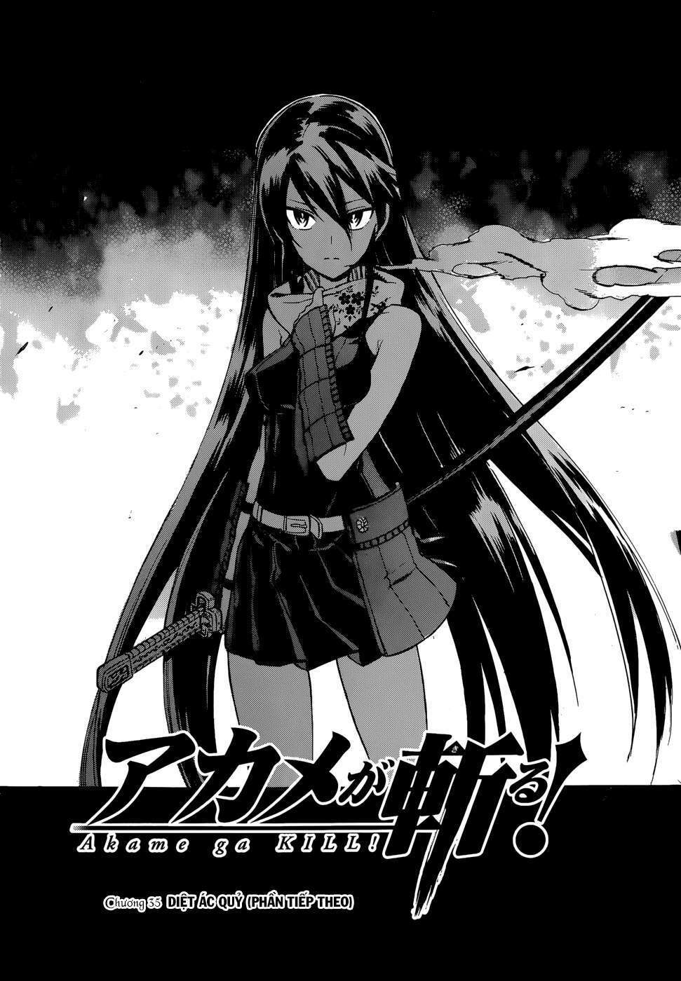 Akame ga Kiru!: Chapter 35