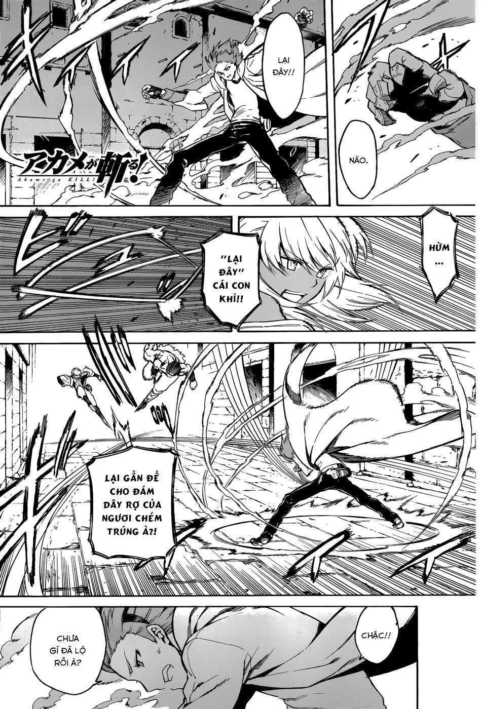Akame ga Kiru!: Chapter 36