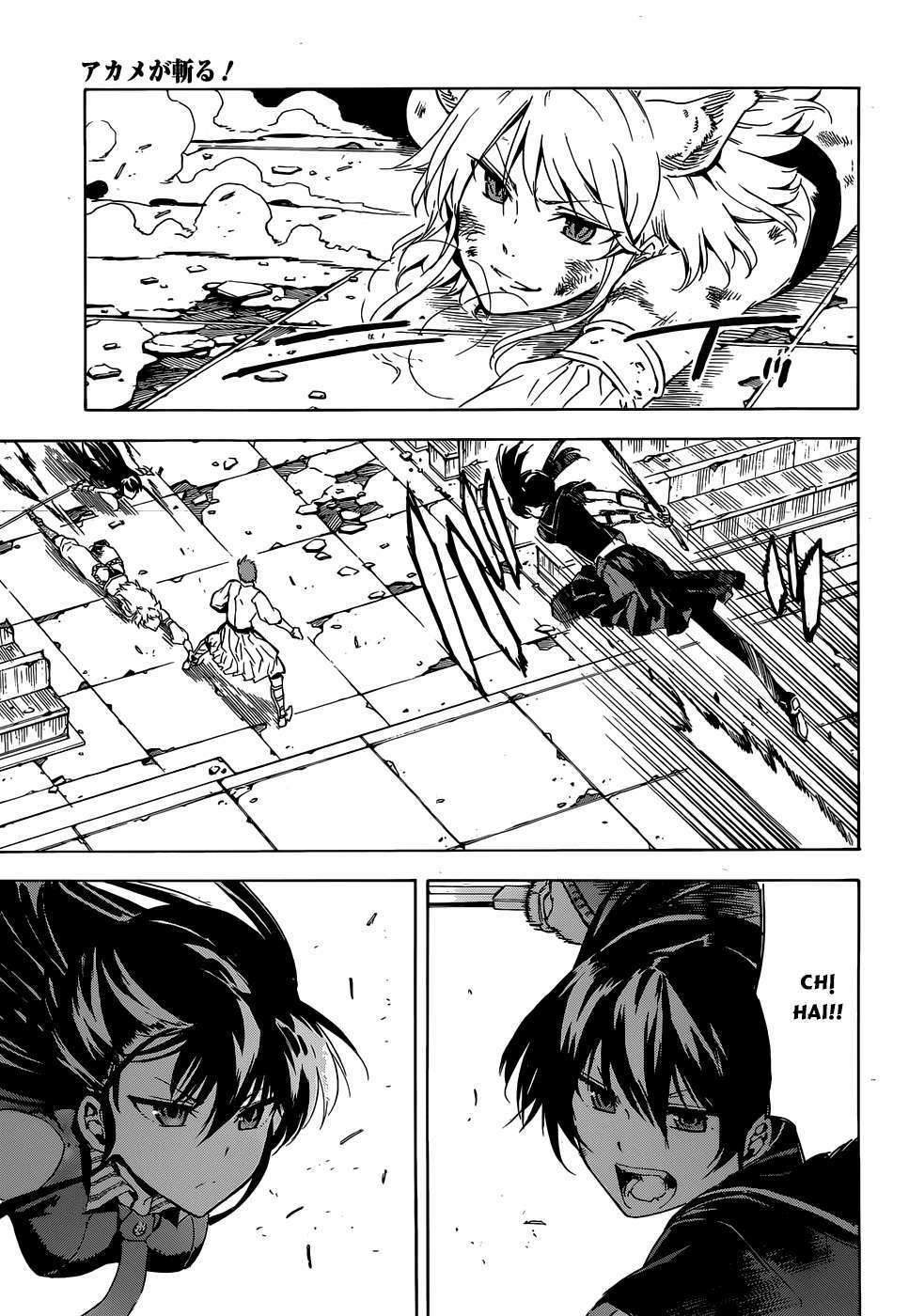 Akame ga Kiru!: Chapter 43