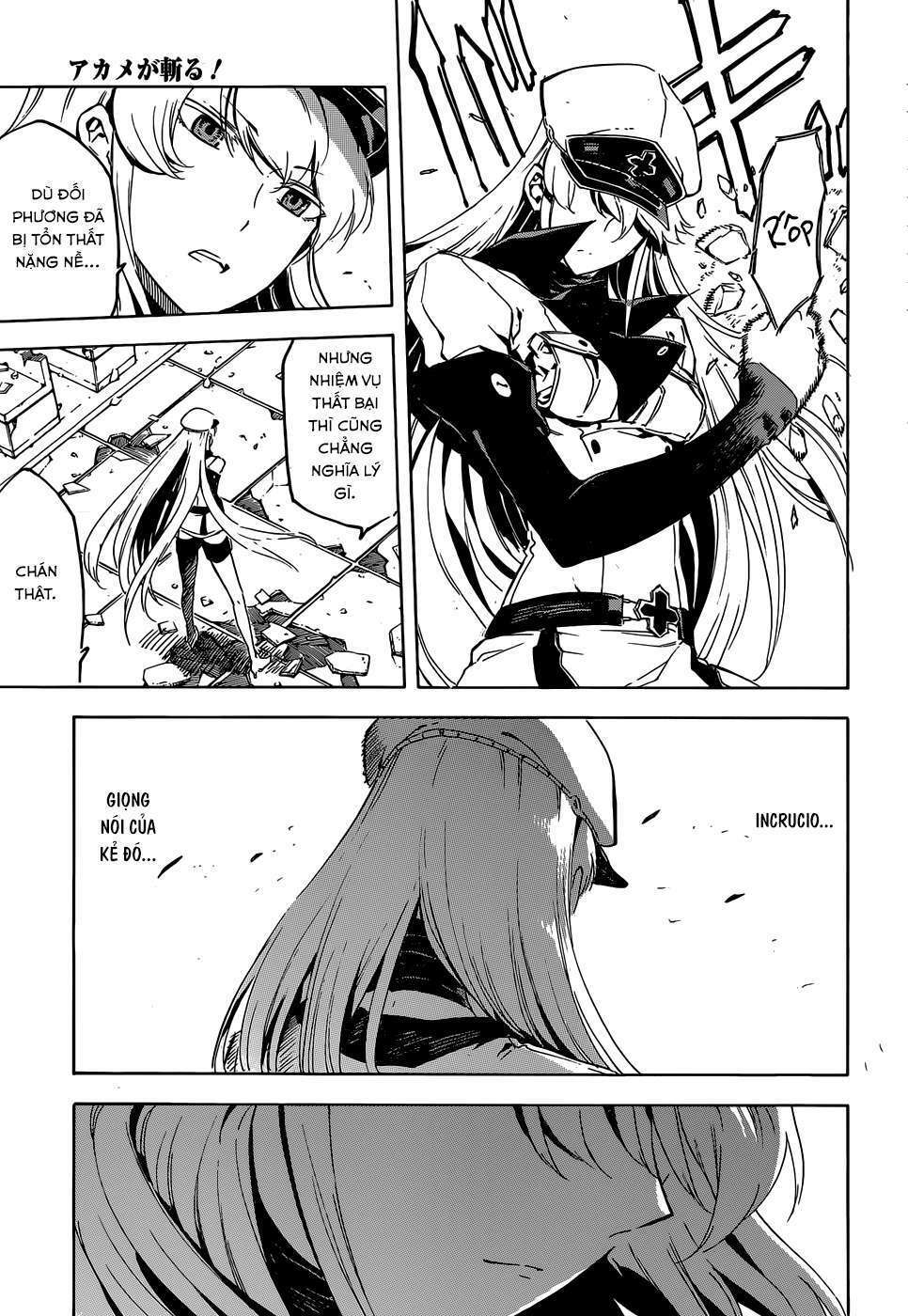 Akame ga Kiru!: Chapter 43