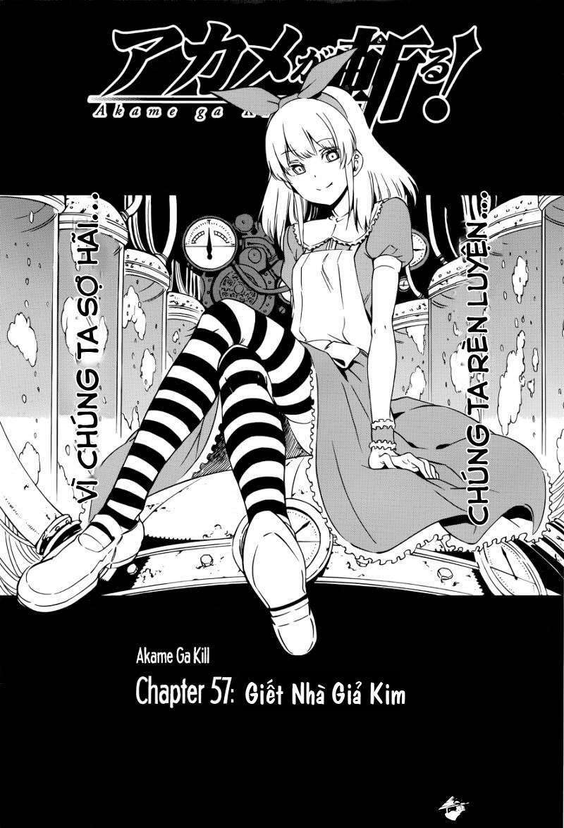 Akame ga Kiru!: Chapter 57