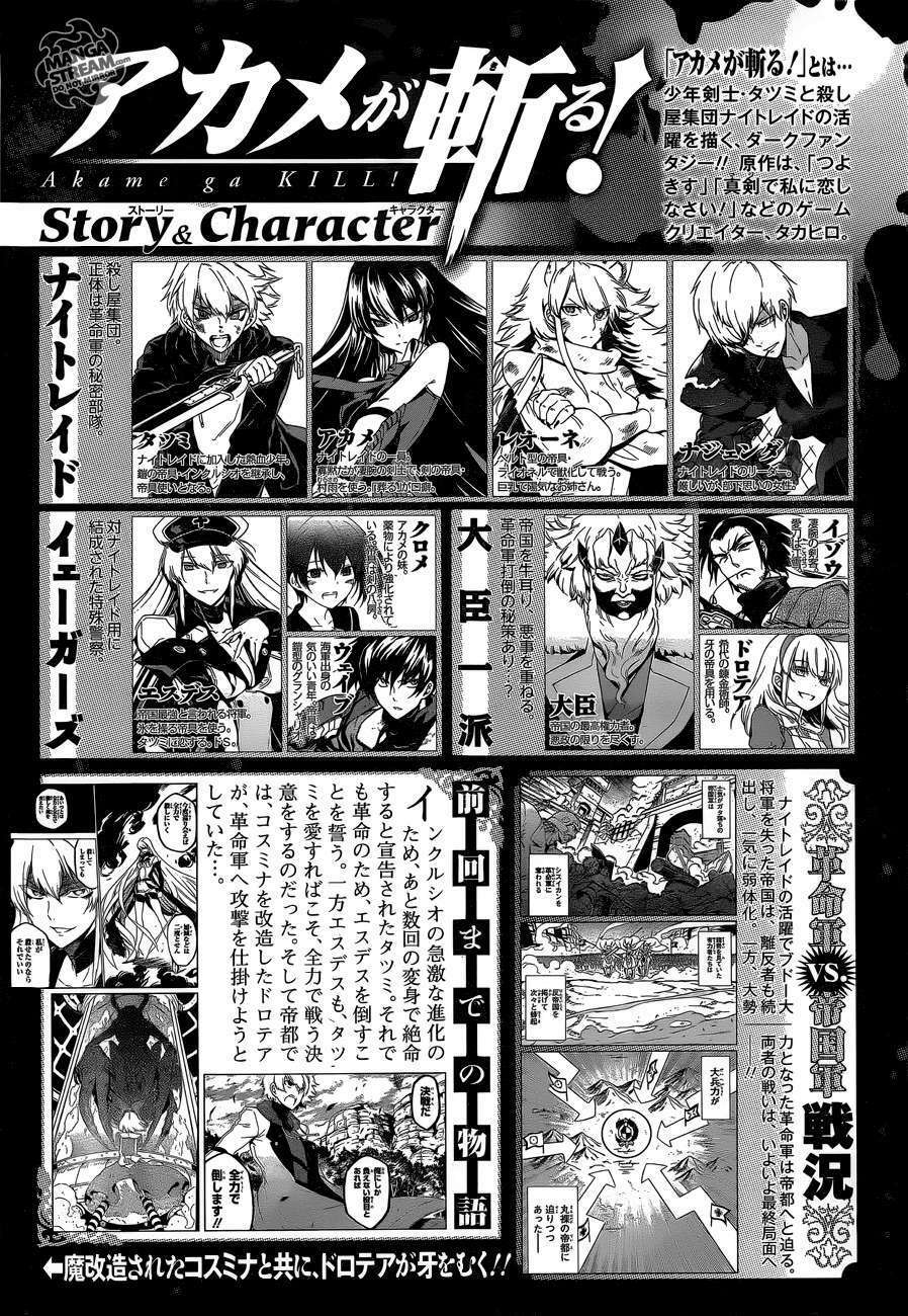 Akame ga Kiru!: Chapter 58.1