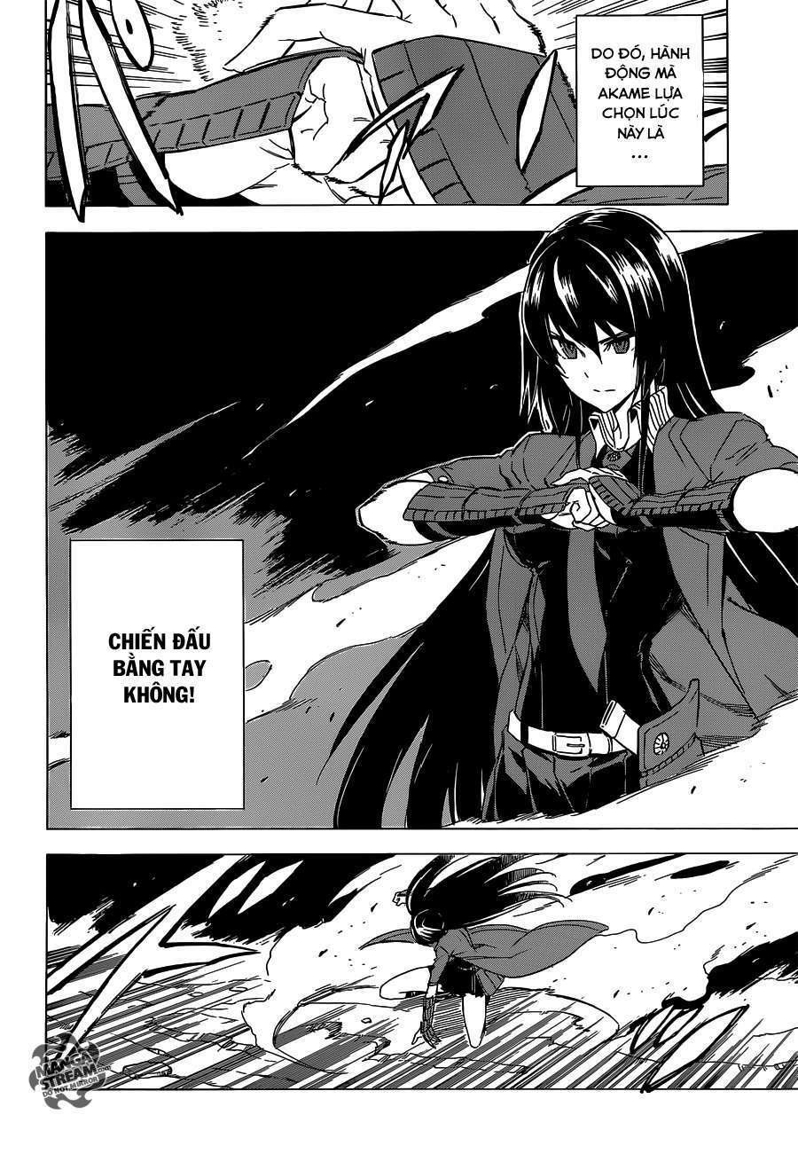 Akame ga Kiru!: Chapter 59.1
