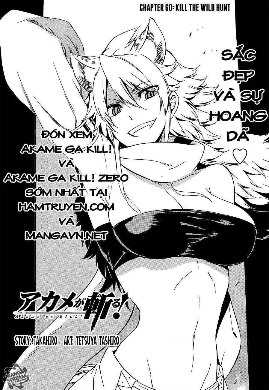 Akame ga Kiru!: Chapter 60