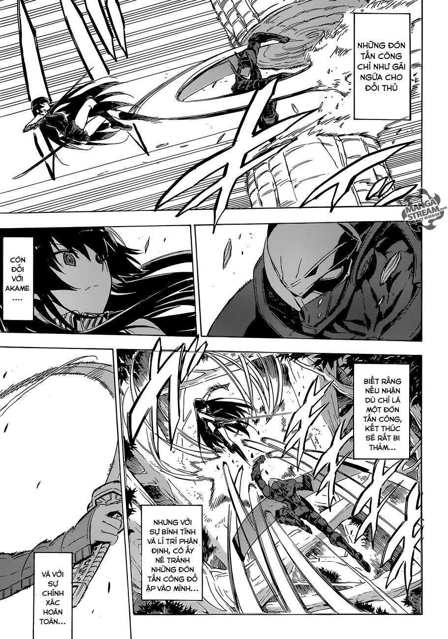 Akame ga Kiru!: Chapter 62
