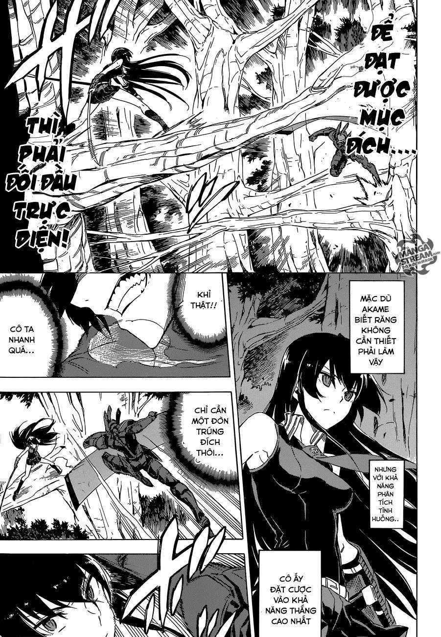 Akame ga Kiru!: Chapter 62