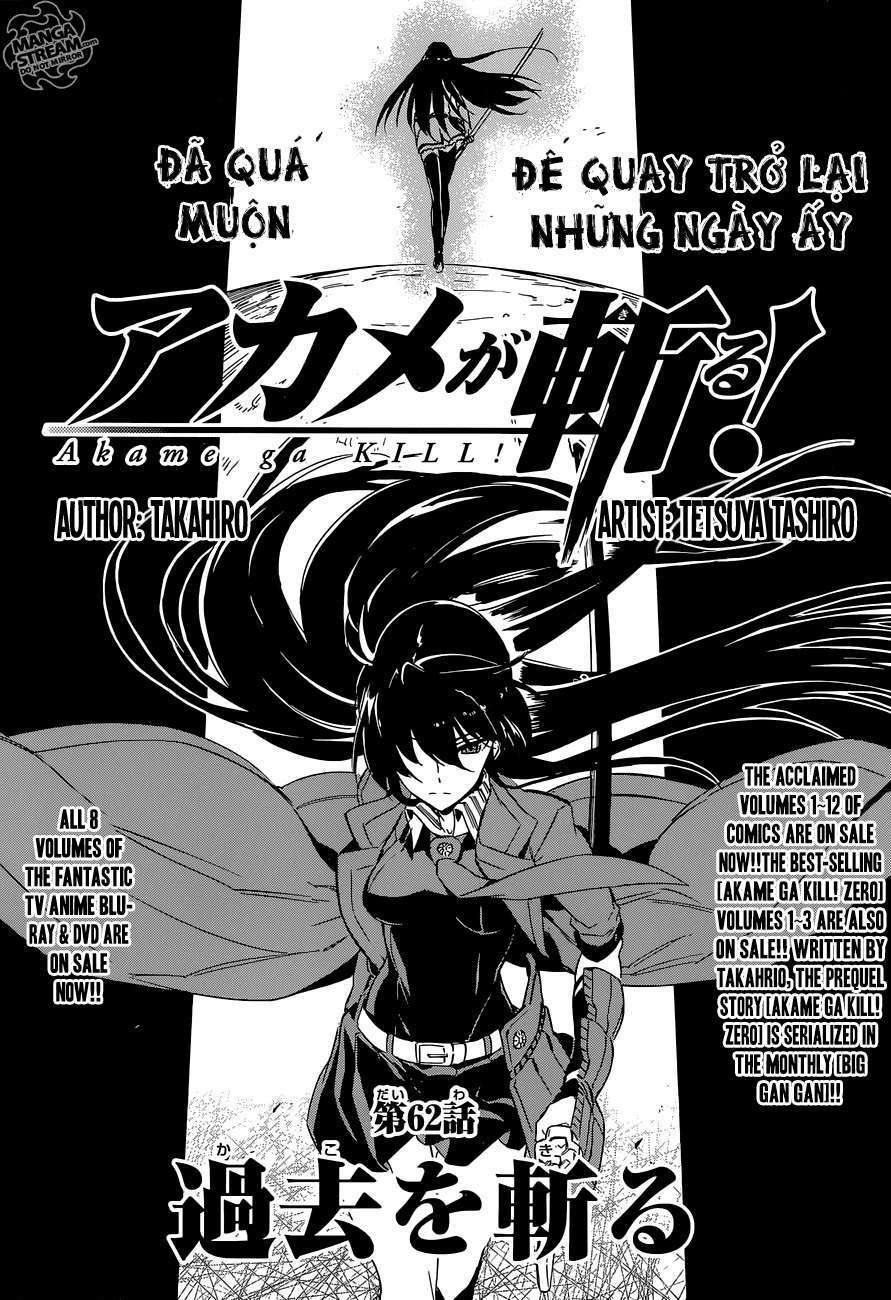 Akame ga Kiru!: Chapter 62