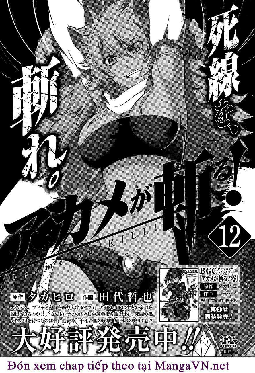 Akame ga Kiru!: Chapter 62