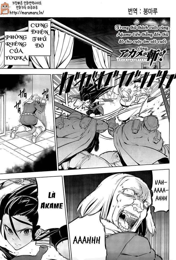 Akame ga Kiru!: Chapter 69