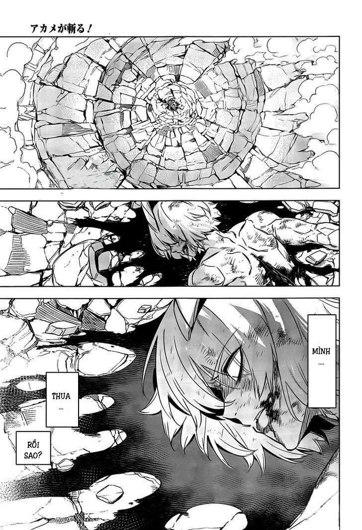 Akame ga Kiru!: Chapter 73