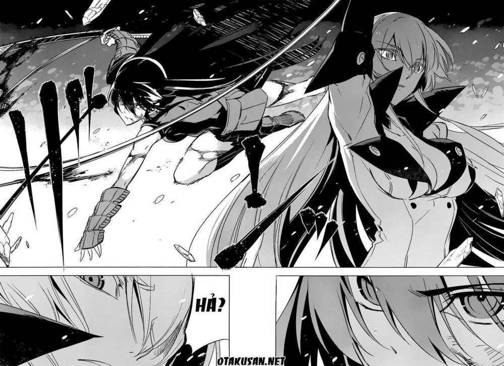 Akame ga Kiru!: Chapter 76.5