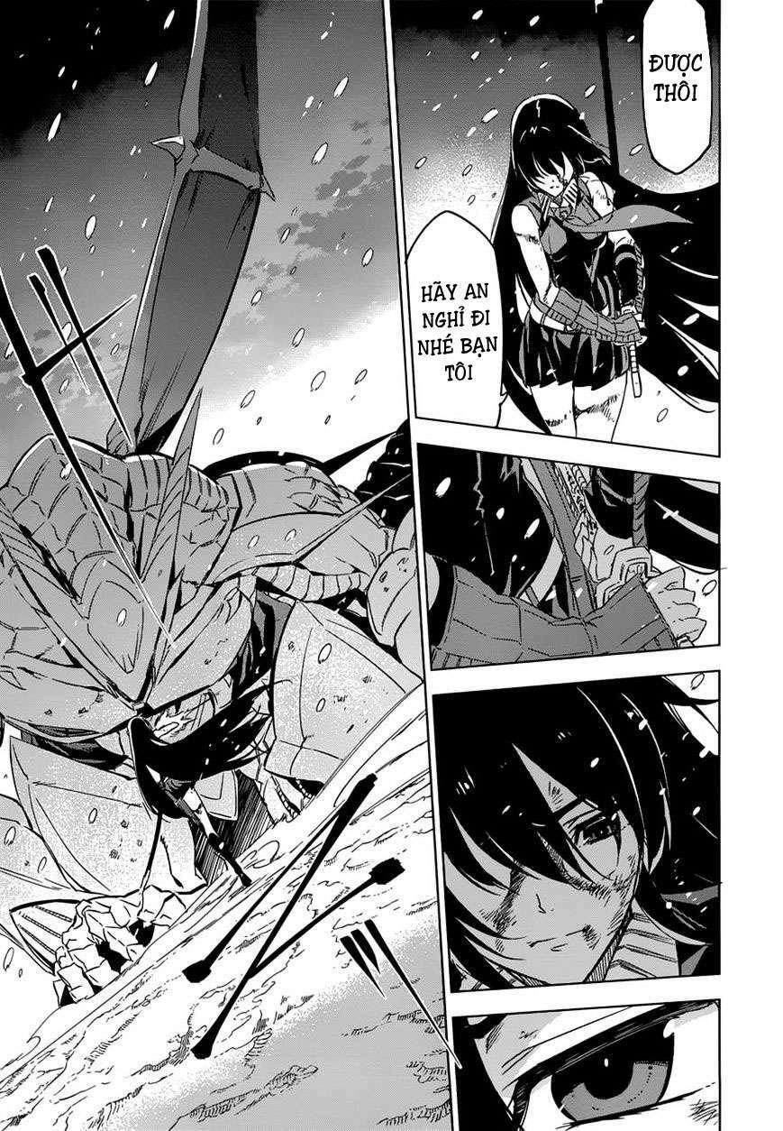 Akame ga Kiru!: Chapter 76.5