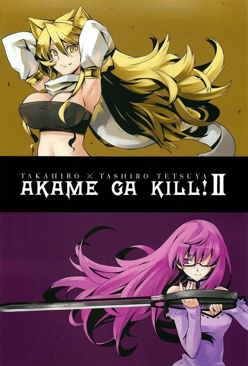 Akame ga Kiru!: Chapter 8