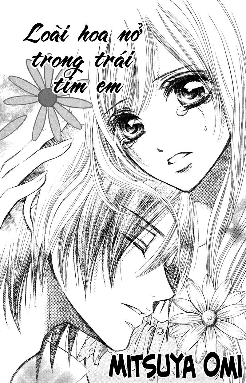Loài Hoa Nở Trong Trái Tim Em: Chapter 1: One shot