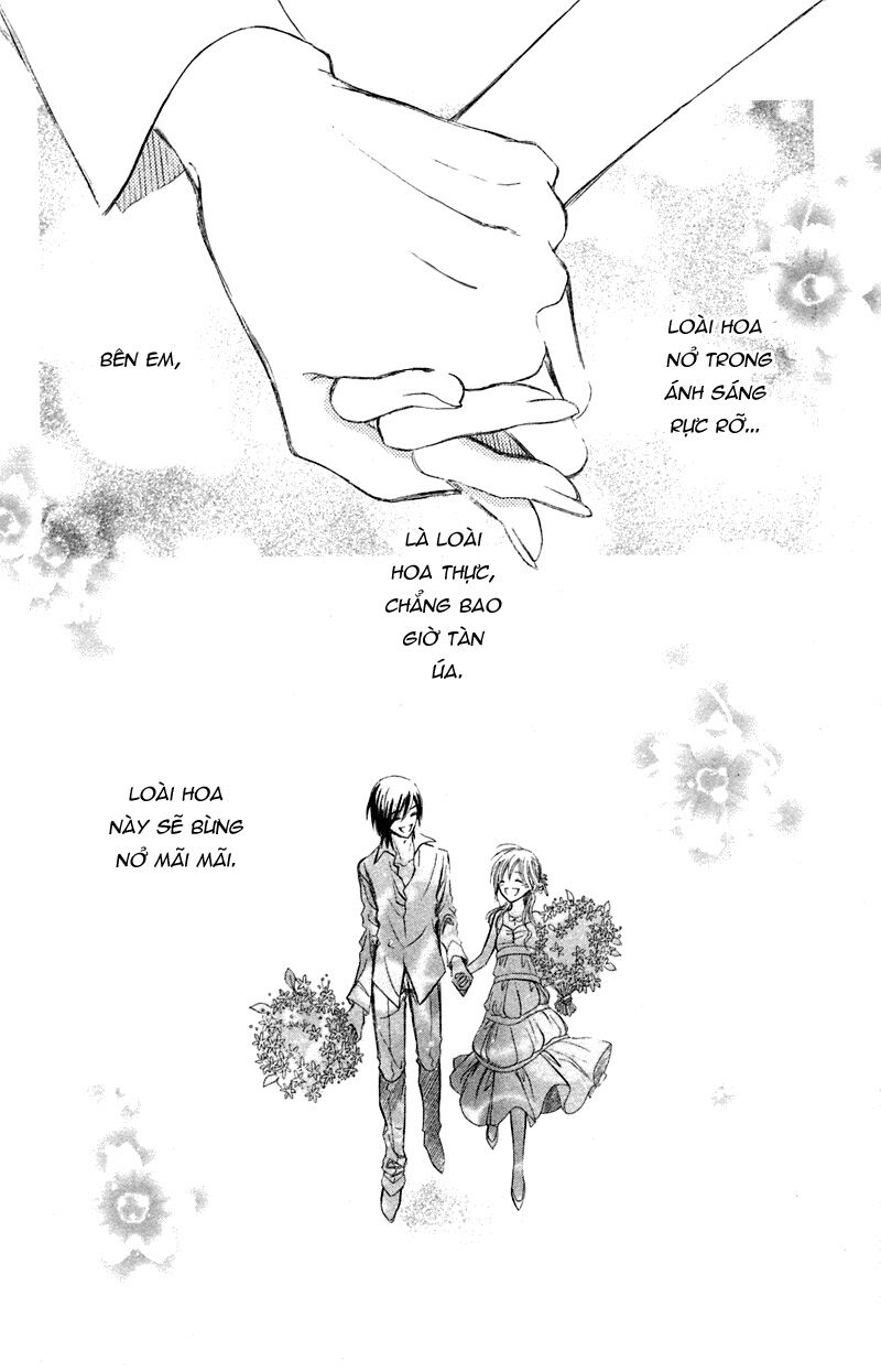 Loài Hoa Nở Trong Trái Tim Em: Chapter 1: One shot