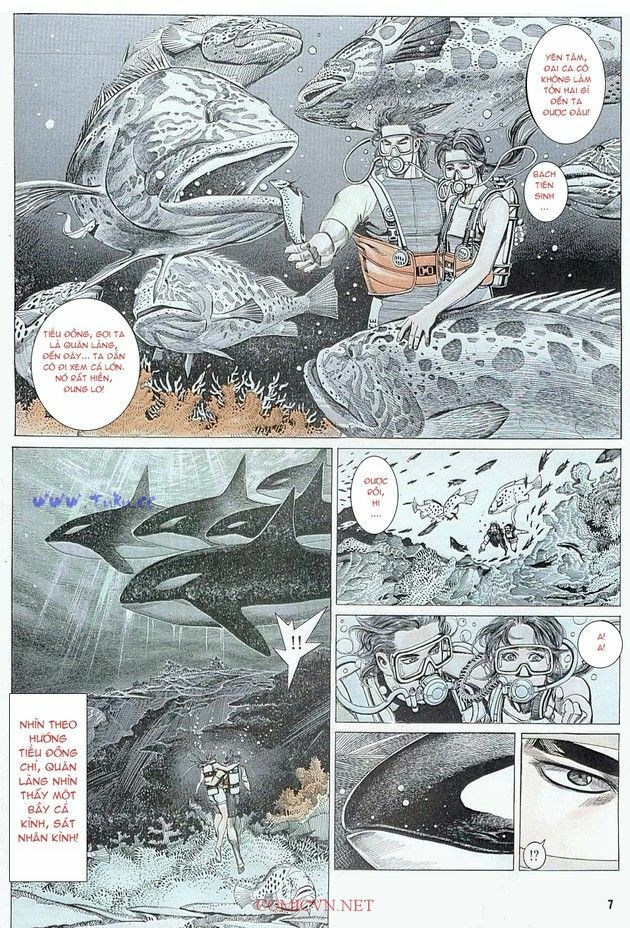 Hải Hổ 1: Chapter 4