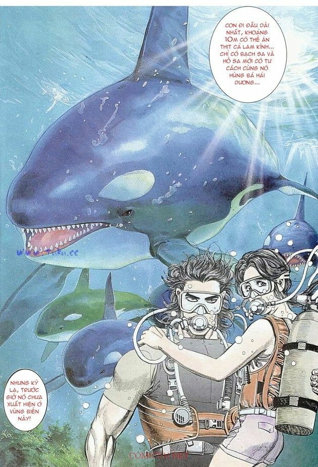 Hải Hổ 1: Chapter 4