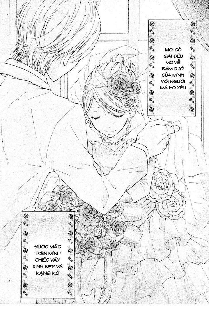 Konyaku 0-nichi Kon wa Dou Desu ka?: Chapter 1: One shot