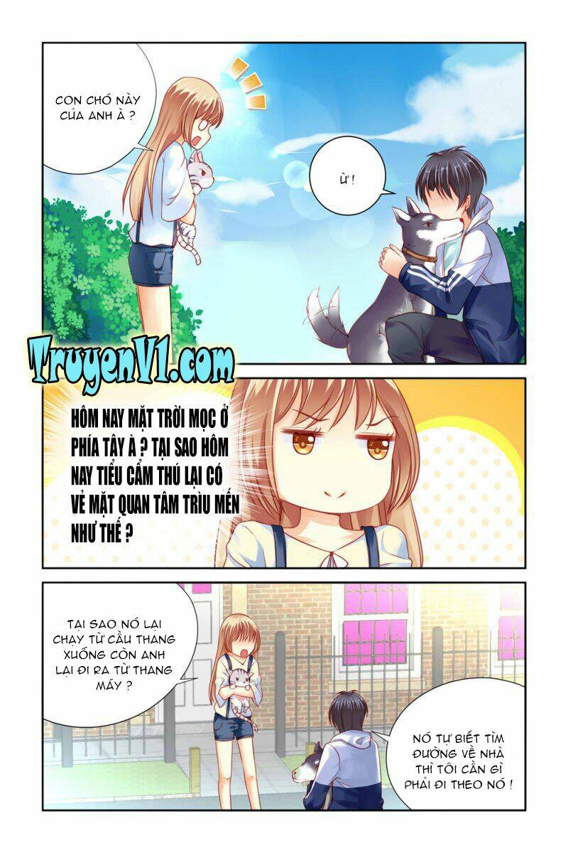 Nam Thần Ở Phòng Bên Cạnh: Chapter 31
