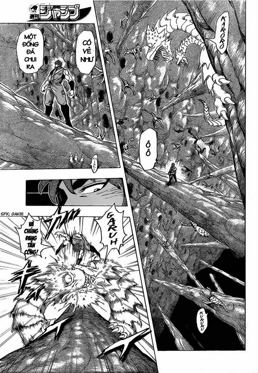 Thợ Săn Ẩm Thực: Chapter 119