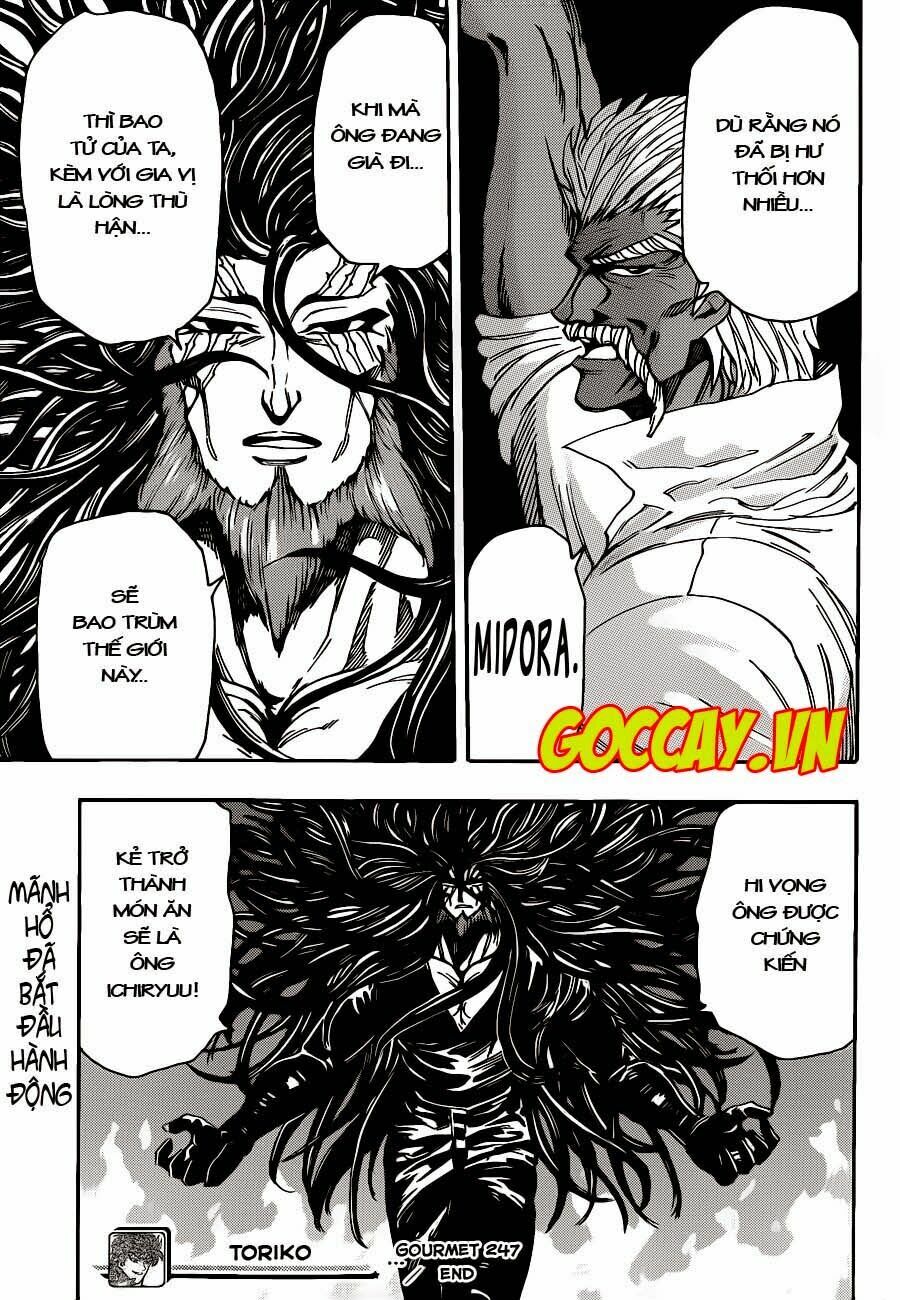 Thợ Săn Ẩm Thực: Chapter 247
