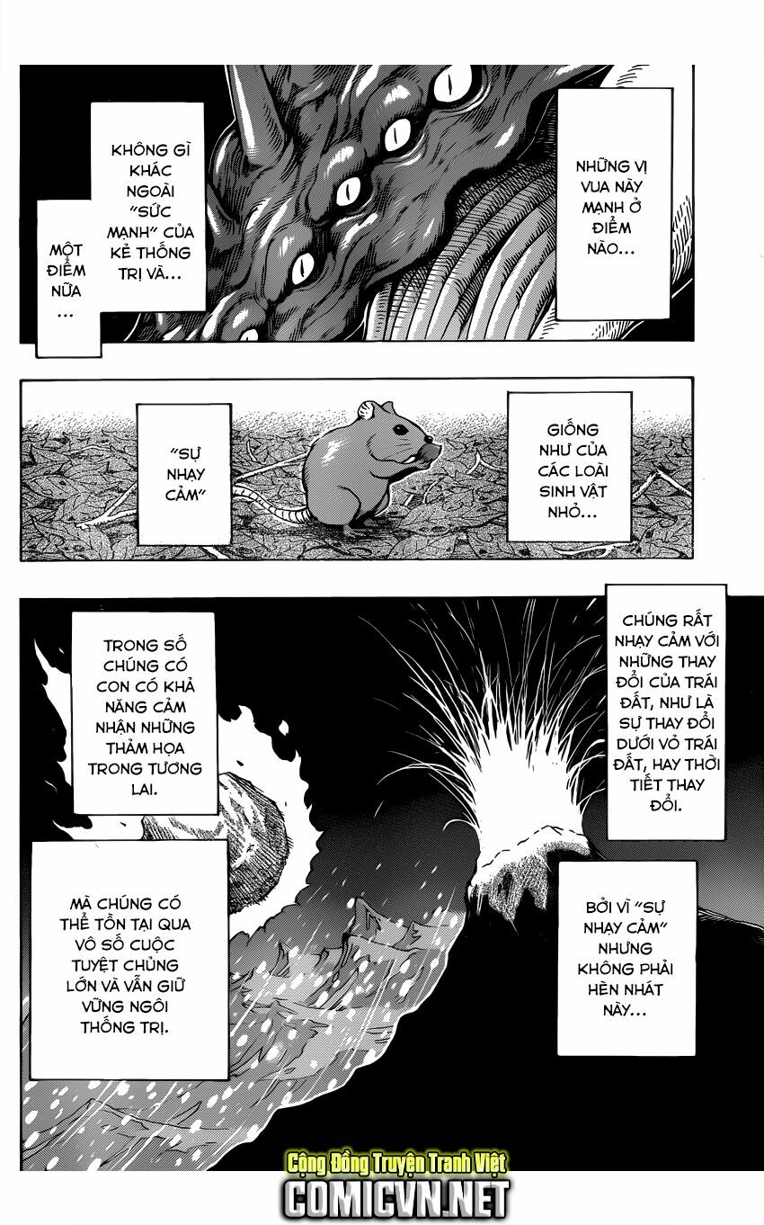 Thợ Săn Ẩm Thực: Chapter 256