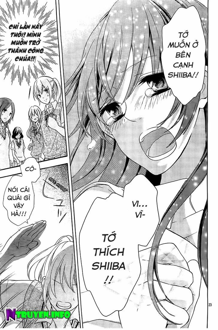 Cinderella Shindoro-mu: Chapter 1: One shot