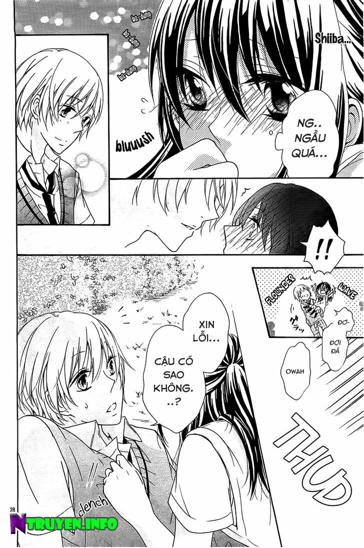 Cinderella Shindoro-mu: Chapter 1: One shot
