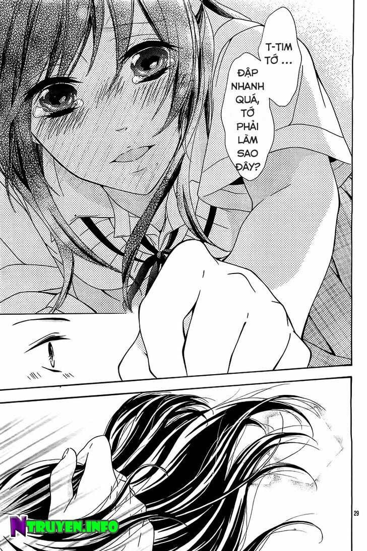 Cinderella Shindoro-mu: Chapter 1: One shot