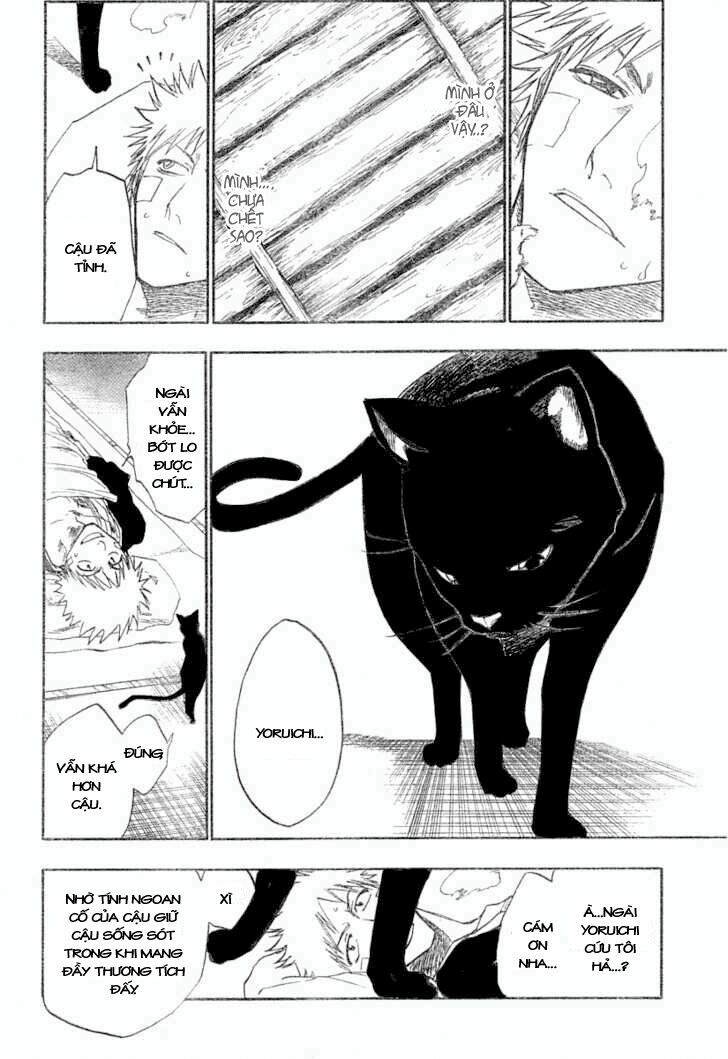 Thần Chết Ichigo: Chapter 116