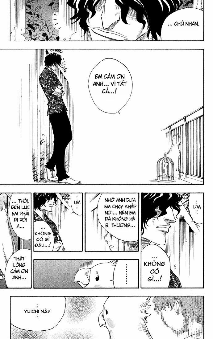 Thần Chết Ichigo: Chapter 12