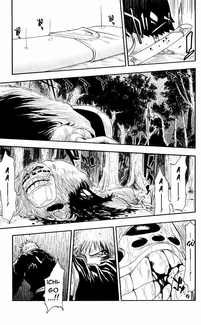 Thần Chết Ichigo: Chapter 24