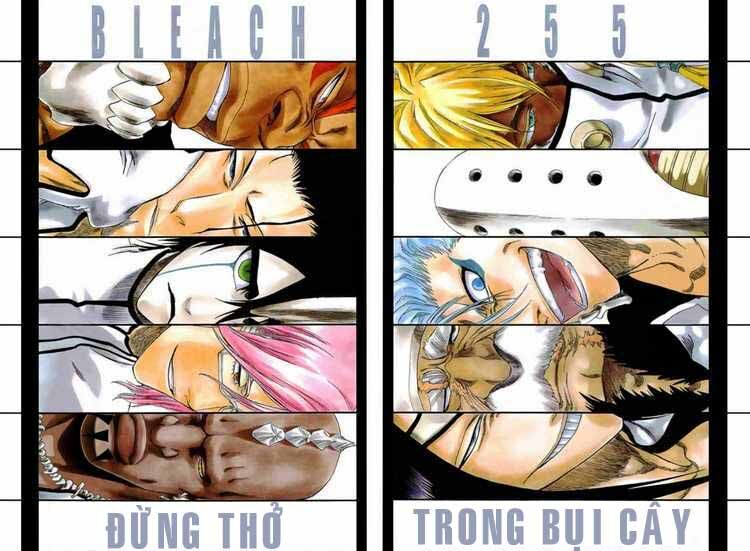 Thần Chết Ichigo: Chapter 255
