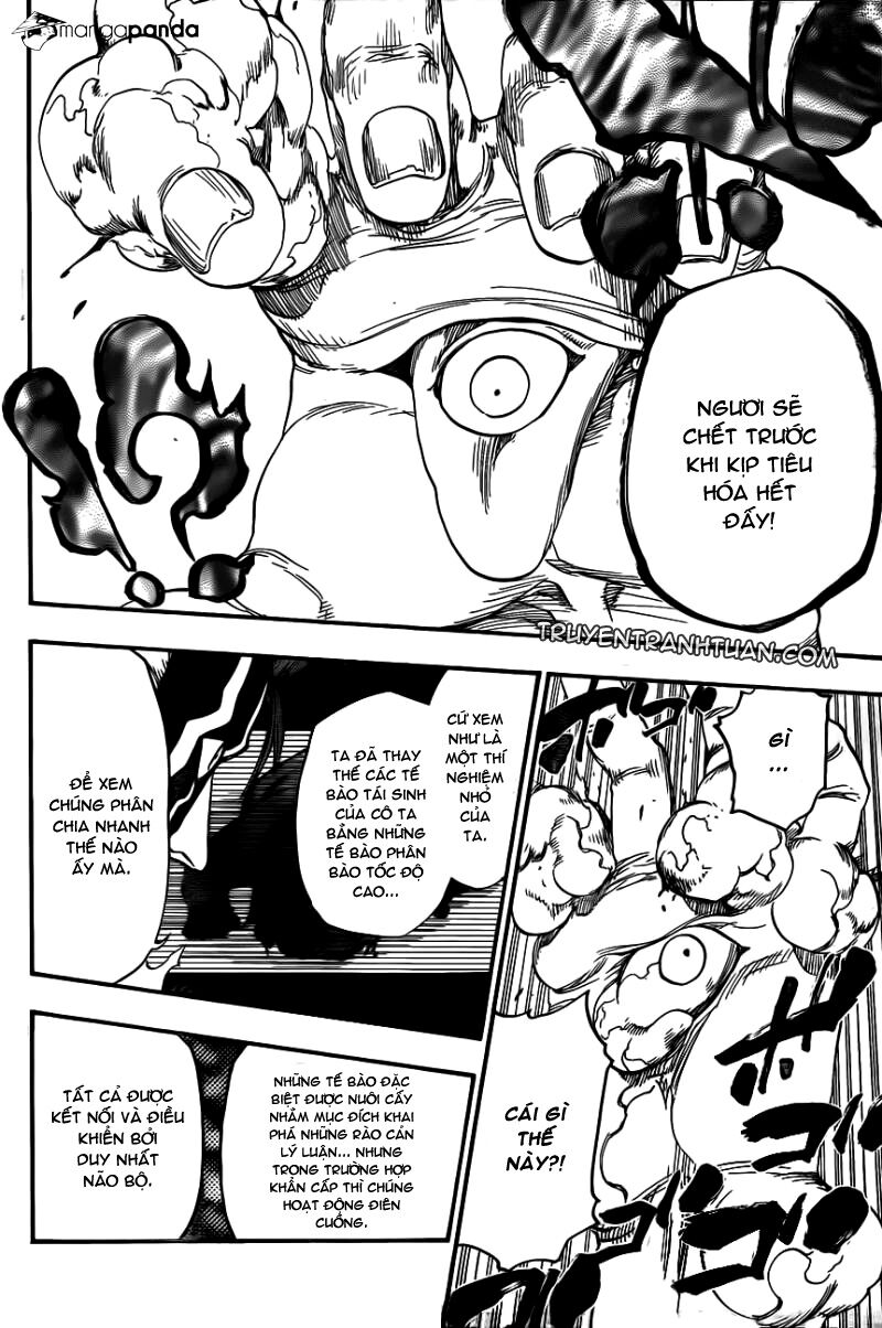 Thần Chết Ichigo: Chapter 643