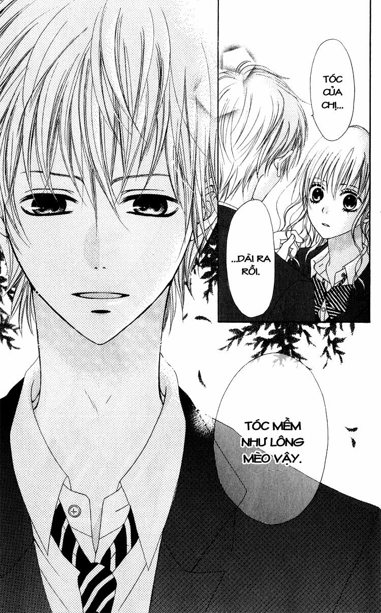Suki yori mo Kirai: Chapter 1: One shot