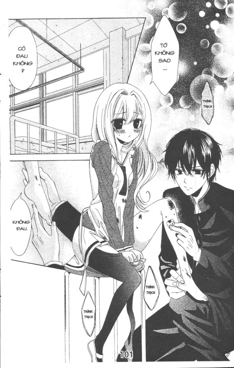 Cô Gái Bị Bắt Nạt: Chapter 1: One shot