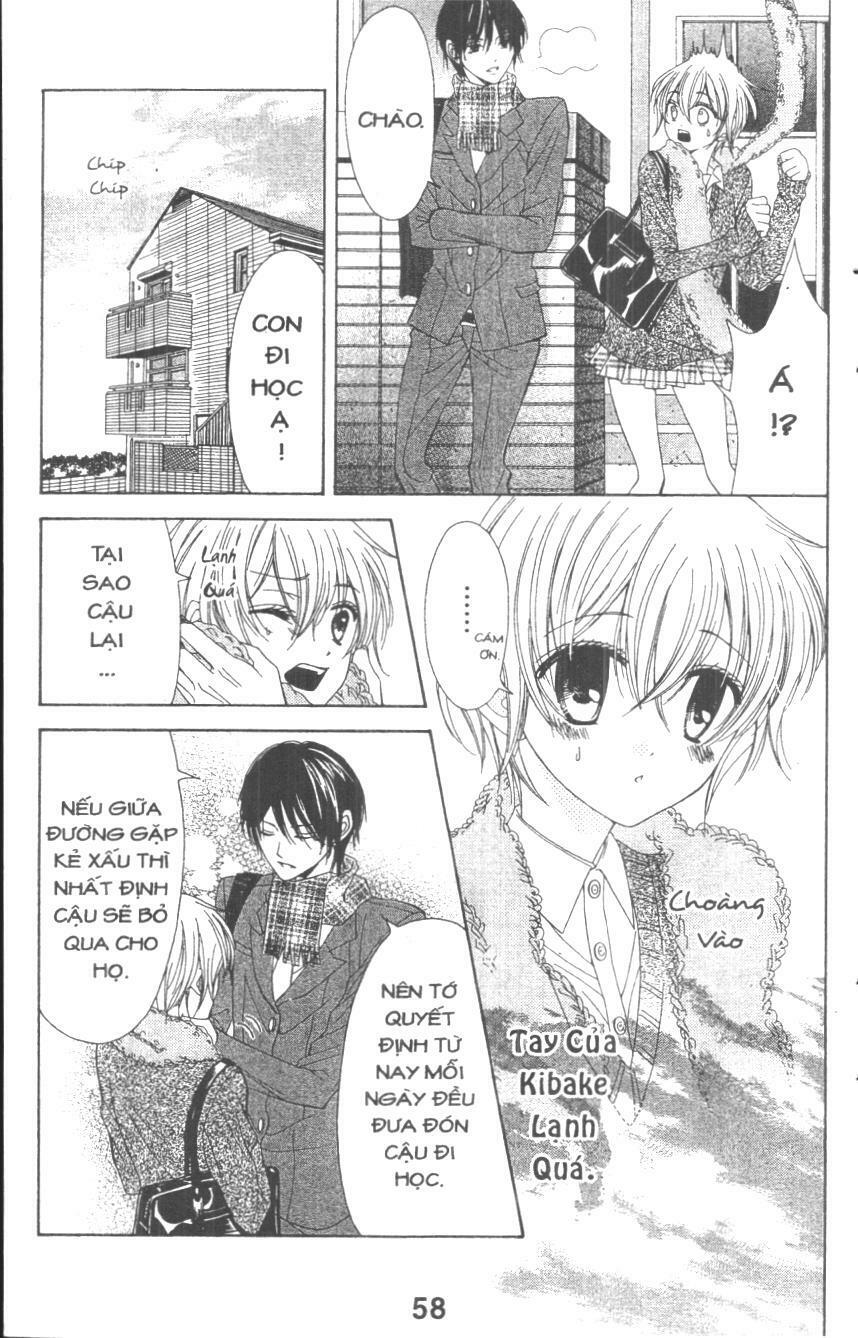 Cô Gái Bị Bắt Nạt: Chapter 1: One shot
