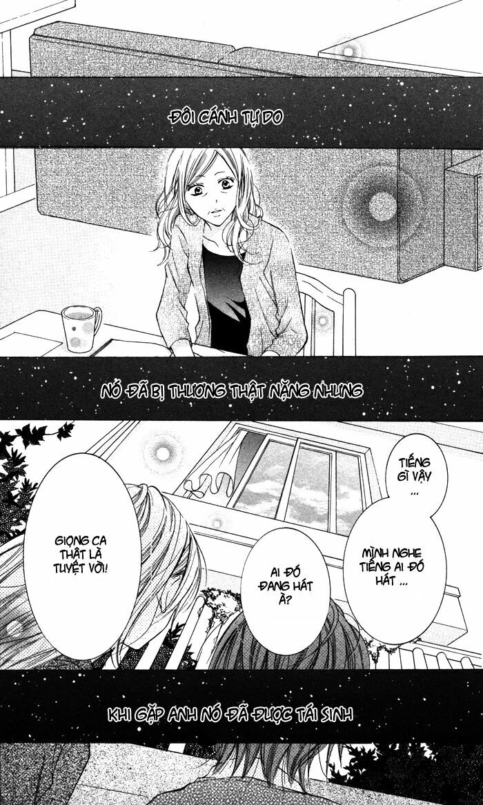 Hitoribocchi wa Samishikute: Chapter 2